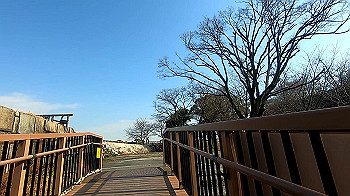 gx011410.mp4_snapshot_00.57_thumb.jpg