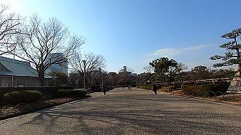 gx011415.mp4_snapshot_00.15_thumb.jpg