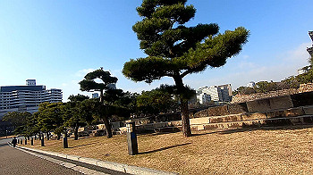 gx011415.mp4_snapshot_01.30_thumb.jpg