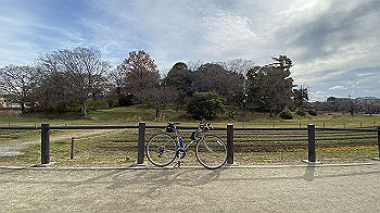 20210126_035617893_ios_thumb.jpg