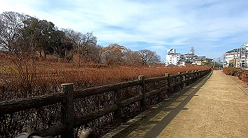 gx011452_x264.mp4_snapshot_03.02_thumb.jpg