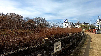 gx011452_x264.mp4_snapshot_03.27_thumb.jpg