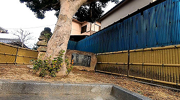 gx011467_x264.mp4_snapshot_01.44_thumb.jpg