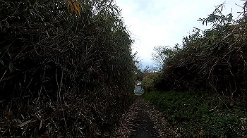 gx011471_x264.mp4_snapshot_02.48_thumb.jpg