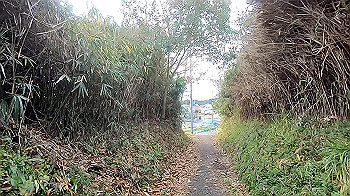 gx011471_x264.mp4_snapshot_02.57_thumb.jpg