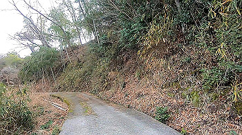gx011471_x264.mp4_snapshot_07.18_thumb.jpg