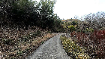 gx011471_x264.mp4_snapshot_09.20_thumb.jpg