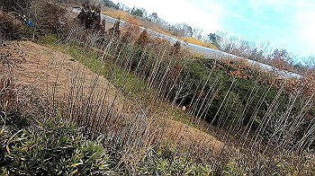 gx011471_x264.mp4_snapshot_10.38_thumb.jpg