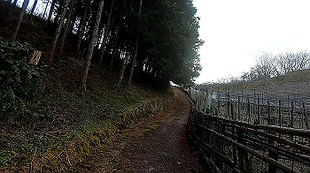 gx011472_x264.mp4_snapshot_00.27_thumb.jpg