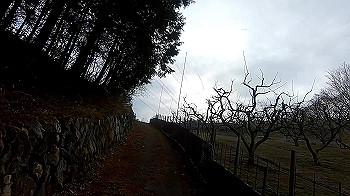 gx011472_x264.mp4_snapshot_01.01_thumb.jpg