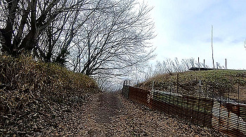 gx011472_x264.mp4_snapshot_02.04_thumb.jpg