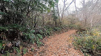 gx011473_x264.mp4_snapshot_00.10_thumb.jpg