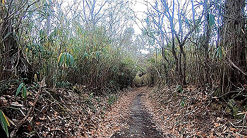 gx011473_x264.mp4_snapshot_00.41_thumb.jpg