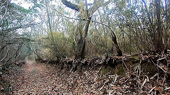 gx011473_x264.mp4_snapshot_01.01_thumb.jpg