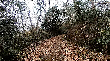 gx011473_x264.mp4_snapshot_01.33_thumb.jpg