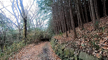 gx011473_x264.mp4_snapshot_02.18_thumb.jpg