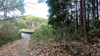 gx011473_x264.mp4_snapshot_02.40_thumb.jpg