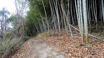 gx011473_x264.mp4_snapshot_03.00_thumb.jpg
