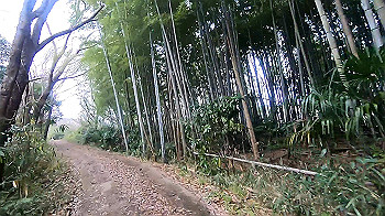 gx011473_x264.mp4_snapshot_03.29_thumb.jpg