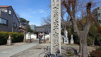 p1260041_thumb.jpg