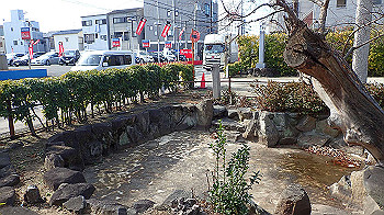 p1260043_thumb.jpg
