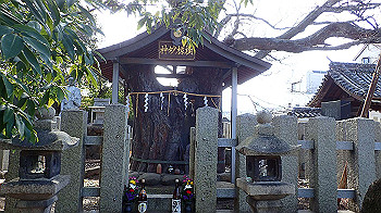 p1260059_thumb.jpg