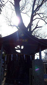p1260060_thumb.jpg