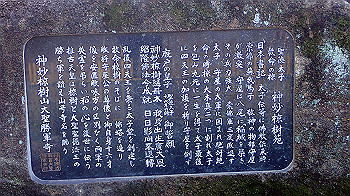 p1260061_thumb.jpg