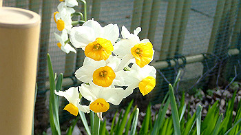 p1260062_thumb.jpg