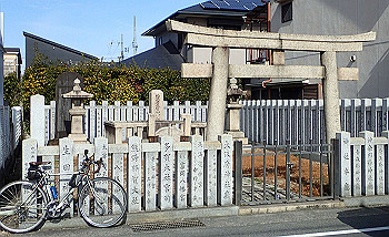 p1260075_thumb.jpg