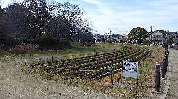 p1260078_thumb.jpg