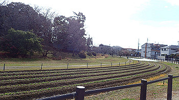 p1260079_thumb.jpg