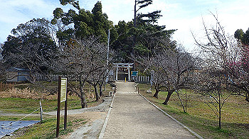 p1260080_thumb.jpg