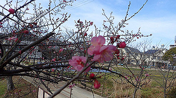 p1260084_thumb.jpg