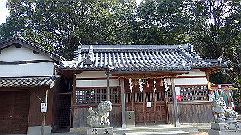 p1260089_thumb.jpg
