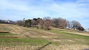 p1260091_thumb.jpg