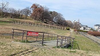 p1260094_thumb.jpg