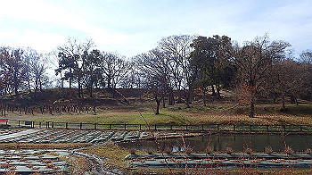 p1260097_thumb.jpg