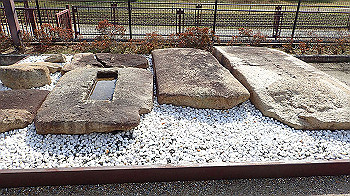p1260099_thumb.jpg