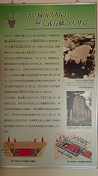 p1260107_thumb.jpg