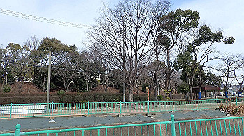 p1260112_thumb.jpg