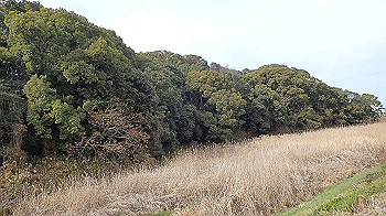 p1260120_thumb.jpg