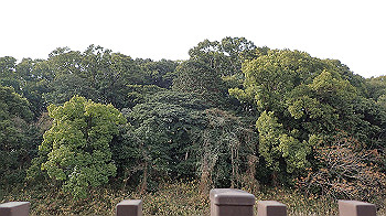 p1260122_thumb.jpg