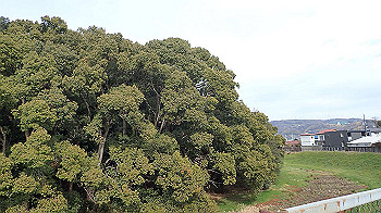 p1260125_thumb.jpg