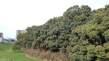 p1260126_thumb.jpg