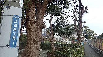 p1260135_thumb.jpg