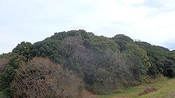 p1260138_thumb.jpg