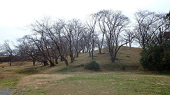 p1260146_thumb.jpg