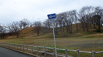 p1260147_thumb.jpg