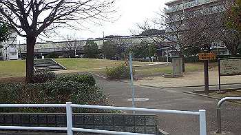 p1260148_thumb.jpg